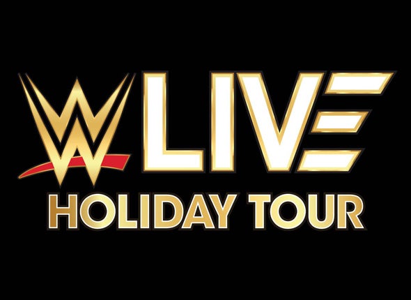 More Info for WWE Holiday Tour
